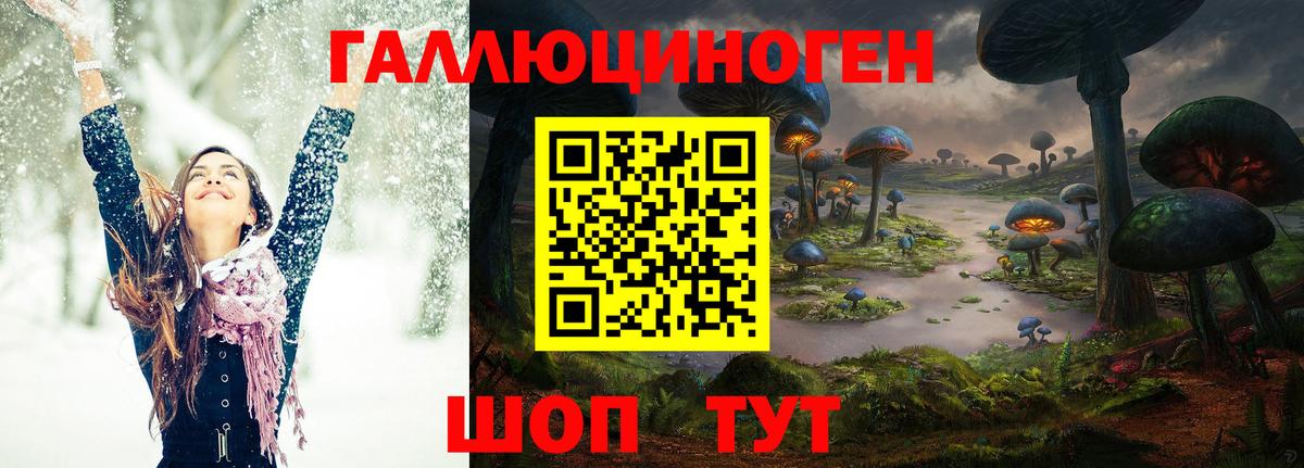 Дятьково  Галлюциногенные грибы Cubensis  Вход с VPN 